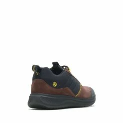 Hush Puppies Brown Elevate Hiker Shoes 3 Hush Puppies Brown Elevate Hiker Shoes -Hush Puppies shop unnamed file 1416